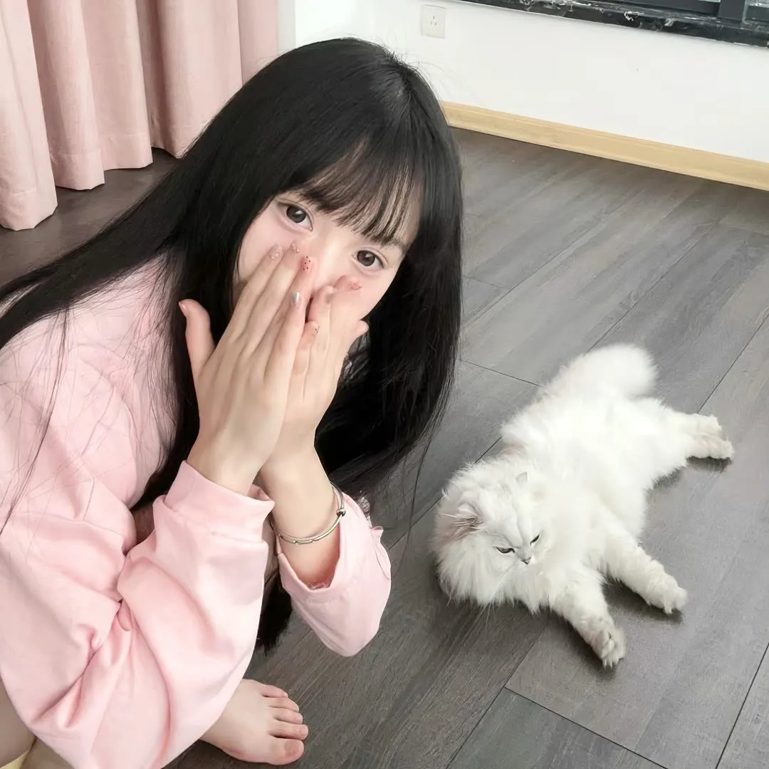 路德探长：落日之殇
